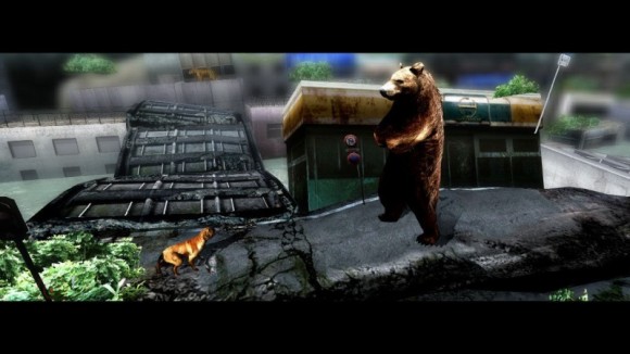 Tokyo Jungle - wise bear