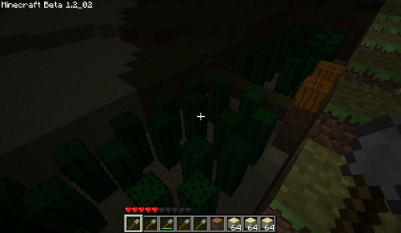 Minecraft screenshot #9
