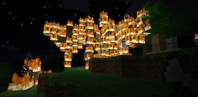 Forest burning