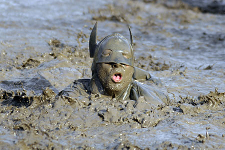 mud swimmer