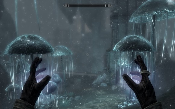 Skyrim - the fungus kingdom Skyrim - the fungus kingdom
